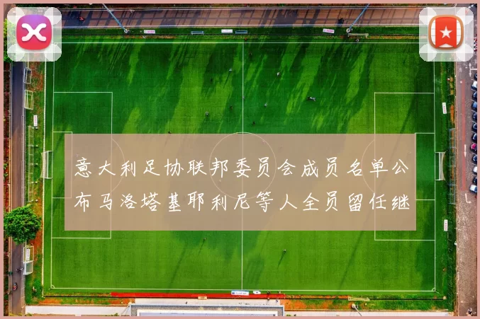意大利足协联邦委员会成员名单公布马洛塔基耶利尼等人全员留任继续服务