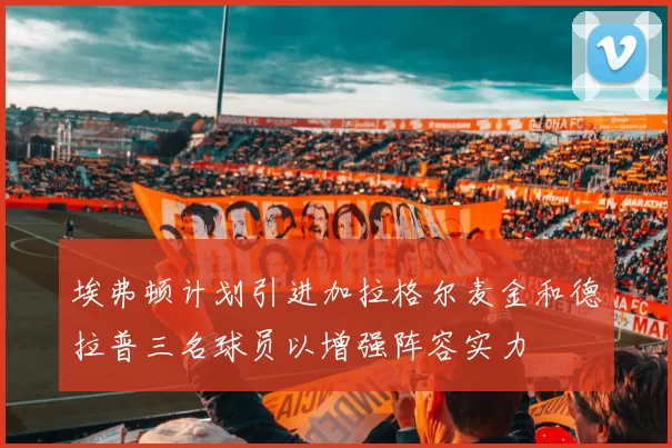 埃弗顿计划引进加拉格尔麦金和德拉普三名球员以增强阵容实力